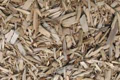 biomass boilers Pallaflat