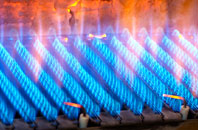 Pallaflat gas fired boilers